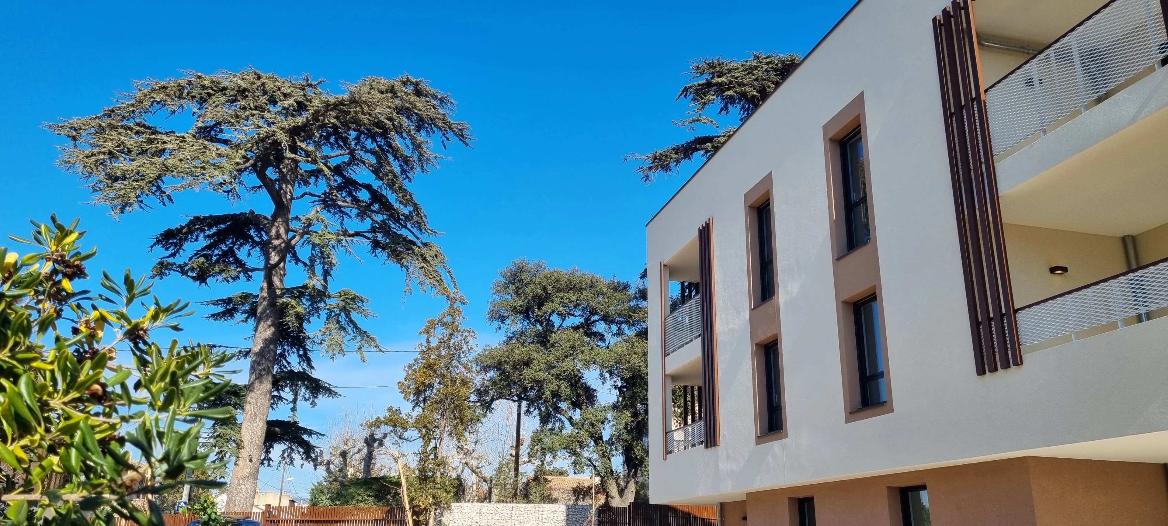 Villa des Cèdres — photo 5