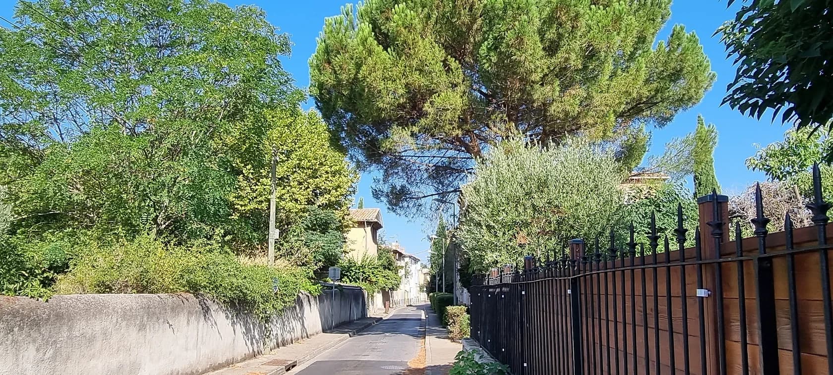 Millésia — photo 8
