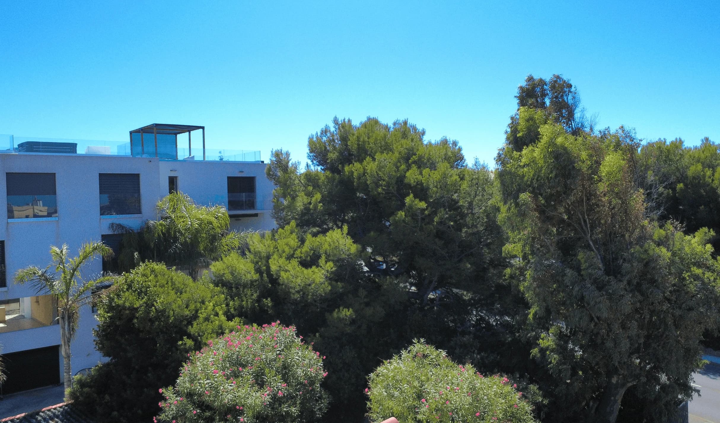 Villa Oria — photo 2